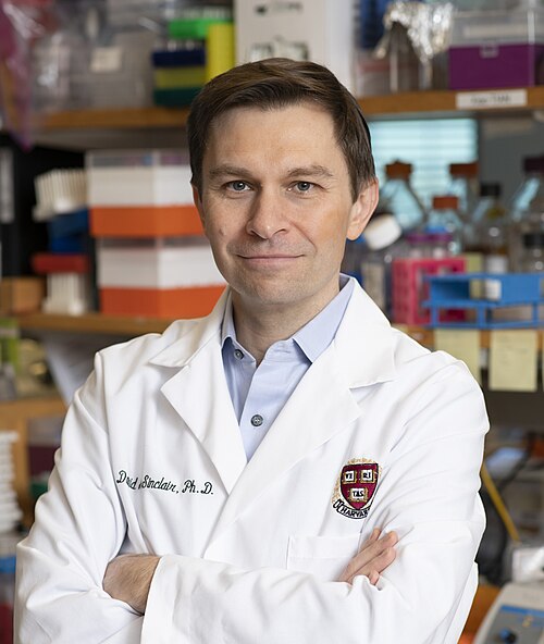 Portrait of David Sinclair, PhD